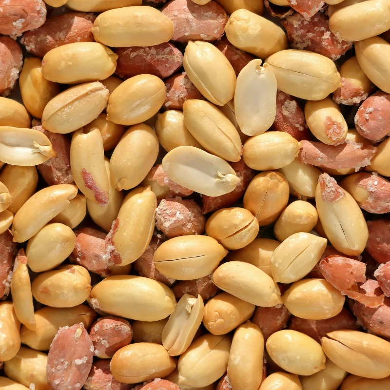 Frutos Secos Bajos en FODMAP - Cacahuetes