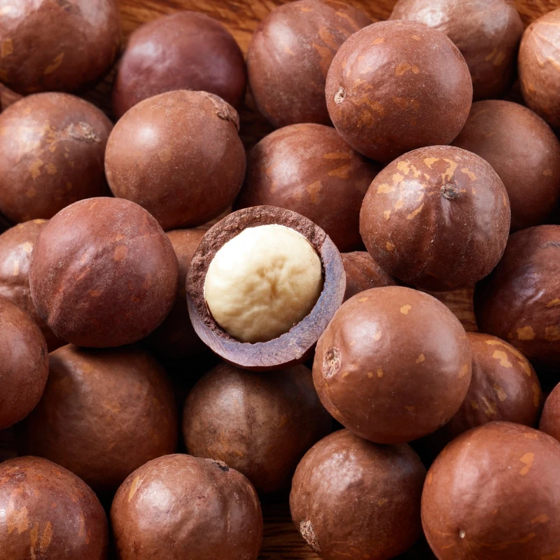 Frutos Secos Bajos en FODMAP - Nueces de Macadamia